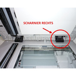Scharnier Rechts für Epson DS-6500(N), DS-7500(N)